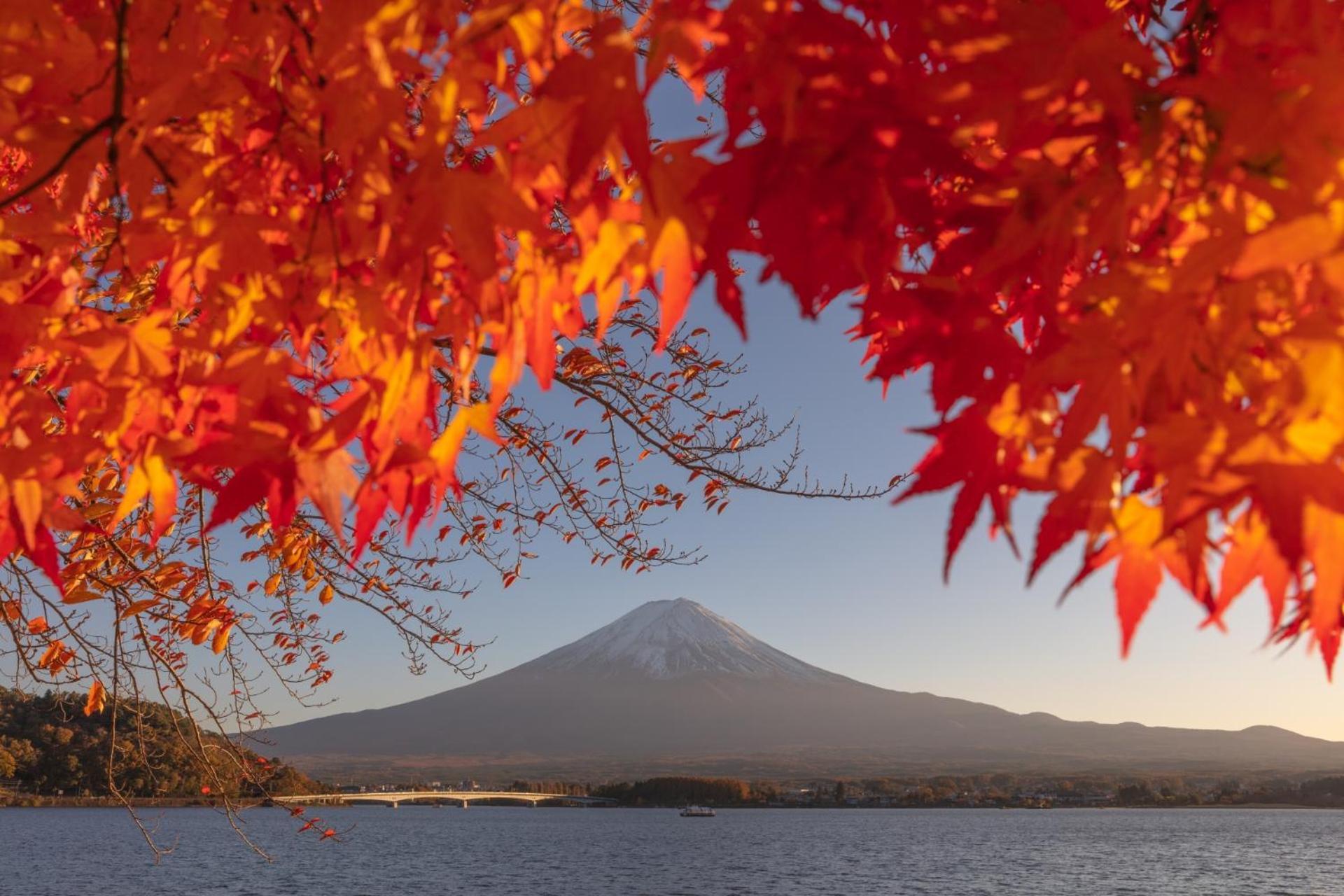 Moonlightvilla 河口湖大橋 Fujikawaguchiko Exterior foto